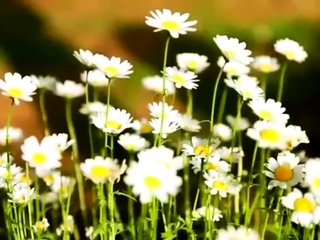 AMWF Irina Griga Russian Woman Red Head Big Areola Tits